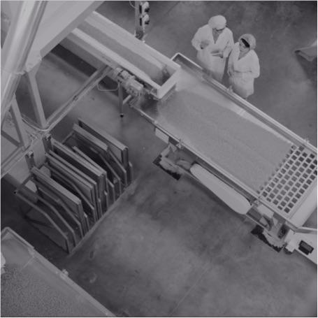 contaminazione-crociata-anteprima